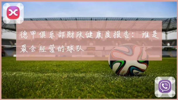 德甲俱乐部财政健康度报告:谁是最会经营的球队