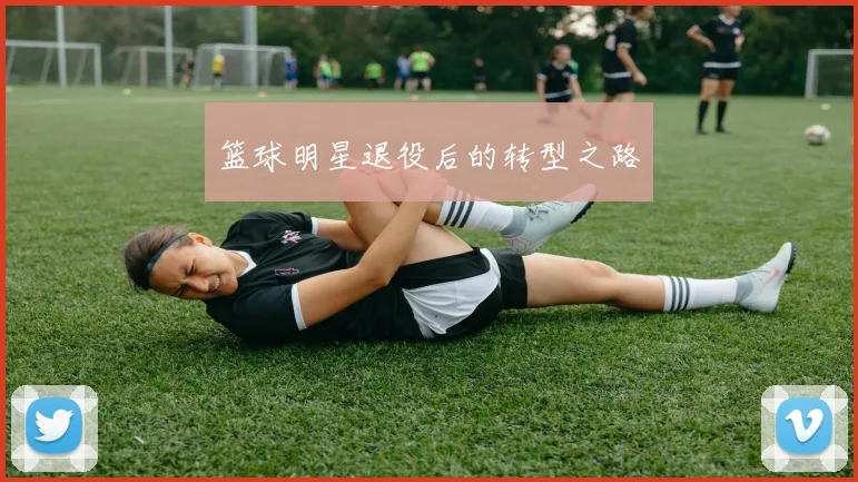 篮球明星退役后的转型之路