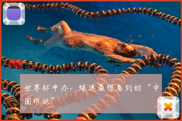 世界杯申办，球迷最想看到的“中国印记”